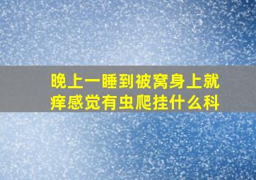 晚上一睡到被窝身上就痒感觉有虫爬挂什么科