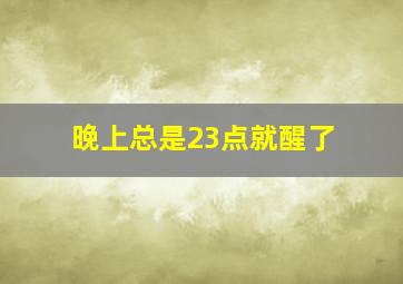 晚上总是23点就醒了