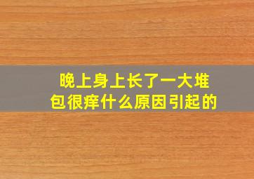 晚上身上长了一大堆包很痒什么原因引起的