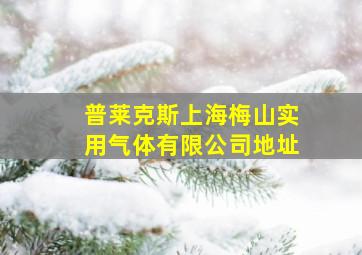 普莱克斯上海梅山实用气体有限公司地址