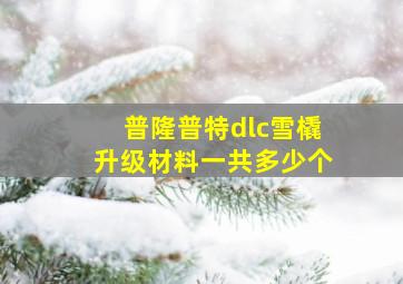 普隆普特dlc雪橇升级材料一共多少个