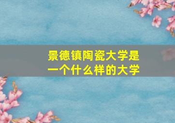 景德镇陶瓷大学是一个什么样的大学