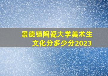 景德镇陶瓷大学美术生文化分多少分2023