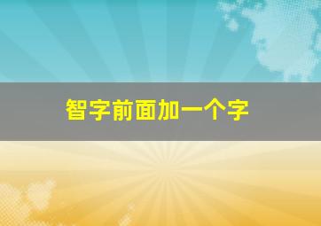 智字前面加一个字