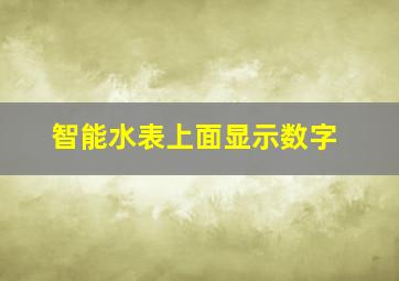 智能水表上面显示数字