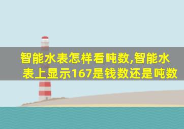 智能水表怎样看吨数,智能水表上显示167是钱数还是吨数