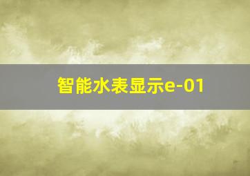 智能水表显示e-01