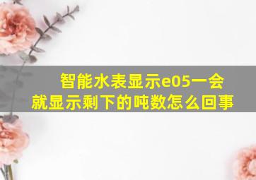 智能水表显示e05一会就显示剩下的吨数怎么回事