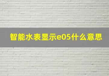 智能水表显示e05什么意思