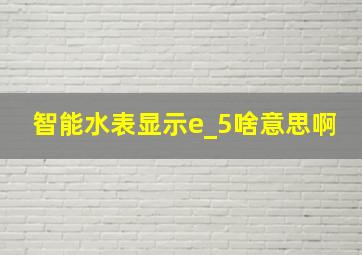 智能水表显示e_5啥意思啊