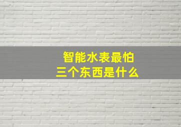 智能水表最怕三个东西是什么