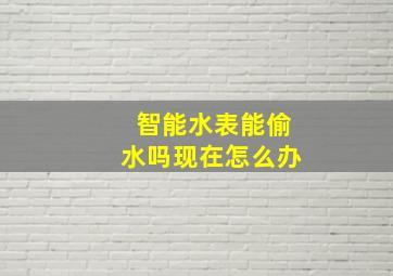 智能水表能偷水吗现在怎么办