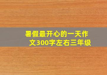 暑假最开心的一天作文300字左右三年级