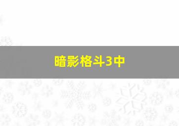 暗影格斗3中