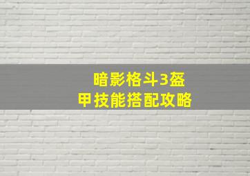 暗影格斗3盔甲技能搭配攻略