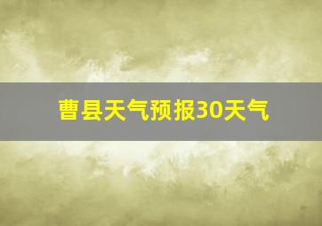 曹县天气预报30天气