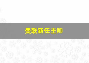 曼联新任主帅