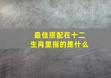 最佳搭配在十二生肖里指的是什么