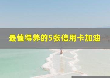 最值得养的5张信用卡加油