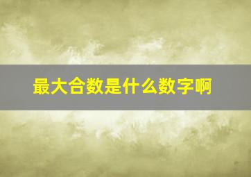 最大合数是什么数字啊