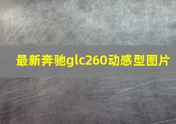 最新奔驰glc260动感型图片