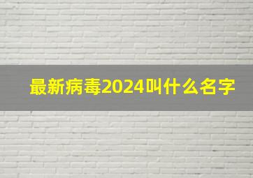 最新病毒2024叫什么名字