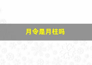 月令是月柱吗