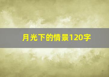 月光下的情景120字