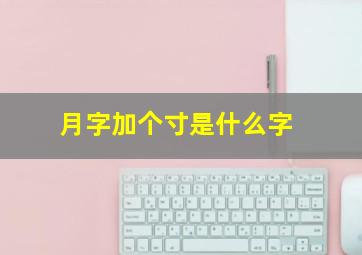 月字加个寸是什么字