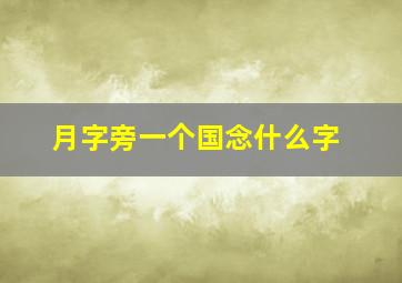 月字旁一个国念什么字