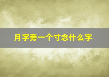 月字旁一个寸念什么字