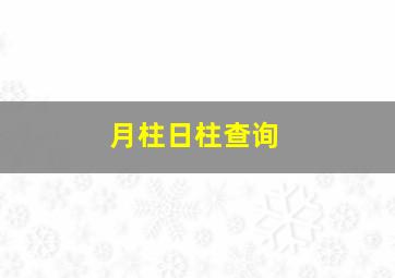 月柱日柱查询