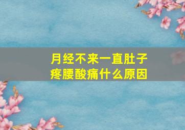 月经不来一直肚子疼腰酸痛什么原因