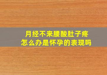 月经不来腰酸肚子疼怎么办是怀孕的表现吗