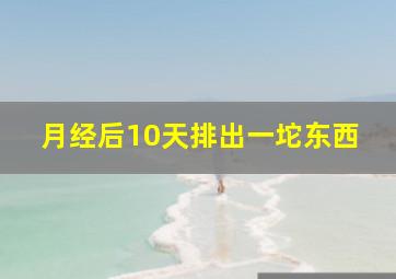 月经后10天排出一坨东西