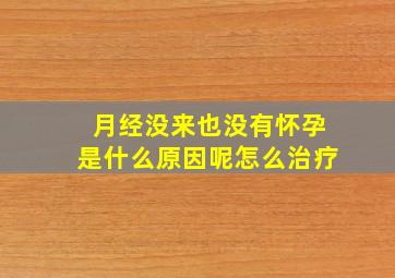 月经没来也没有怀孕是什么原因呢怎么治疗