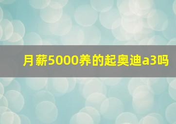 月薪5000养的起奥迪a3吗