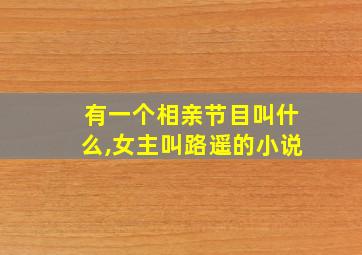 有一个相亲节目叫什么,女主叫路遥的小说