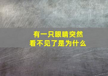 有一只眼睛突然看不见了是为什么