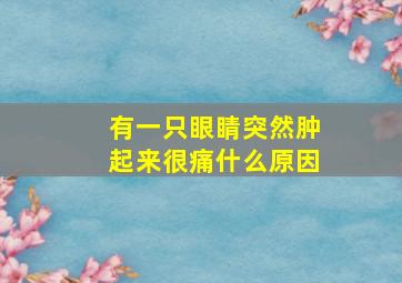 有一只眼睛突然肿起来很痛什么原因