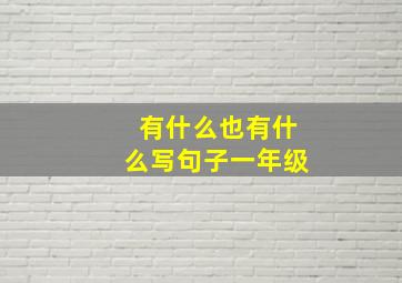 有什么也有什么写句子一年级