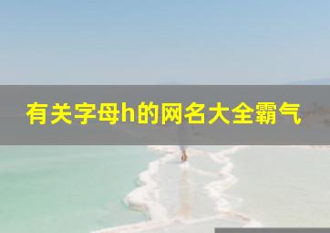 有关字母h的网名大全霸气