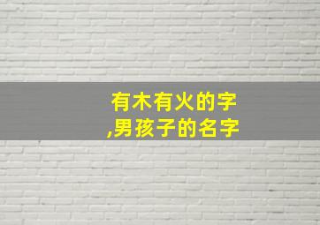 有木有火的字,男孩子的名字