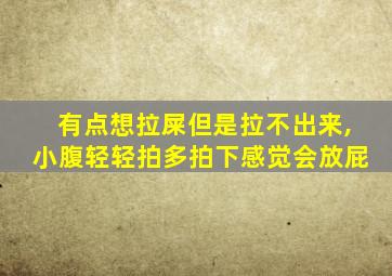 有点想拉屎但是拉不出来,小腹轻轻拍多拍下感觉会放屁