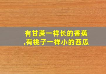 有甘蔗一样长的香蕉,有桃子一样小的西瓜