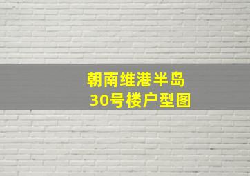 朝南维港半岛30号楼户型图