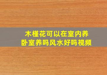 木槿花可以在室内养卧室养吗风水好吗视频