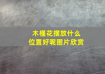 木槿花摆放什么位置好呢图片欣赏