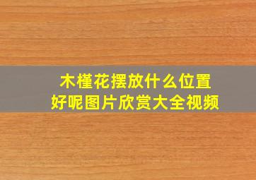 木槿花摆放什么位置好呢图片欣赏大全视频