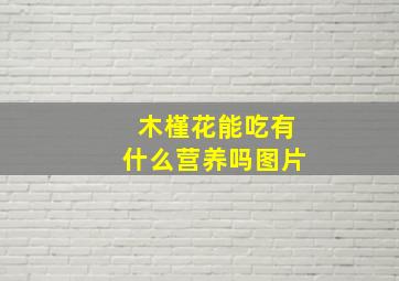 木槿花能吃有什么营养吗图片